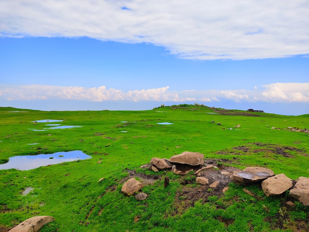 a grassy field with rocks in the middle of it