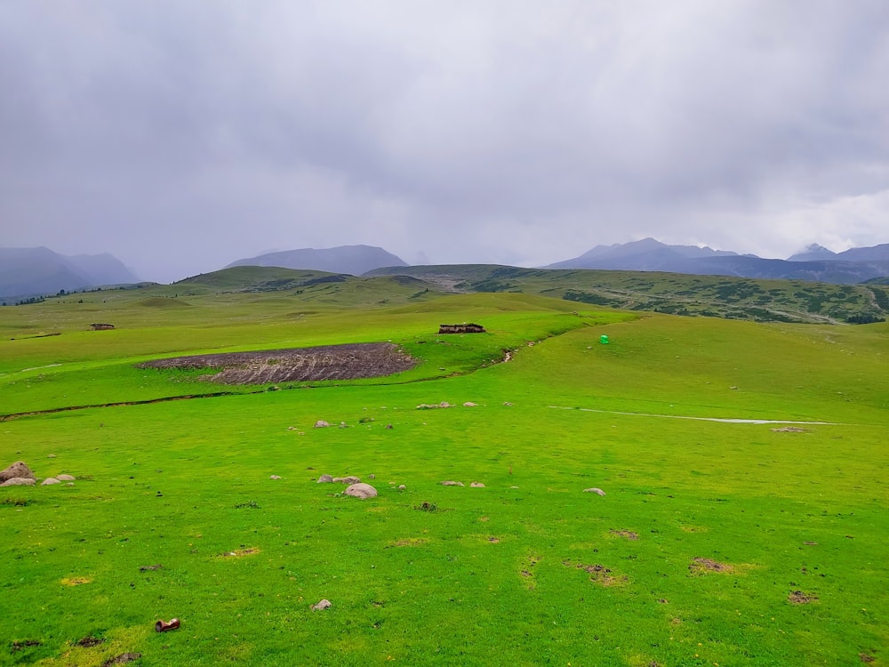 a green field with mountains in the background