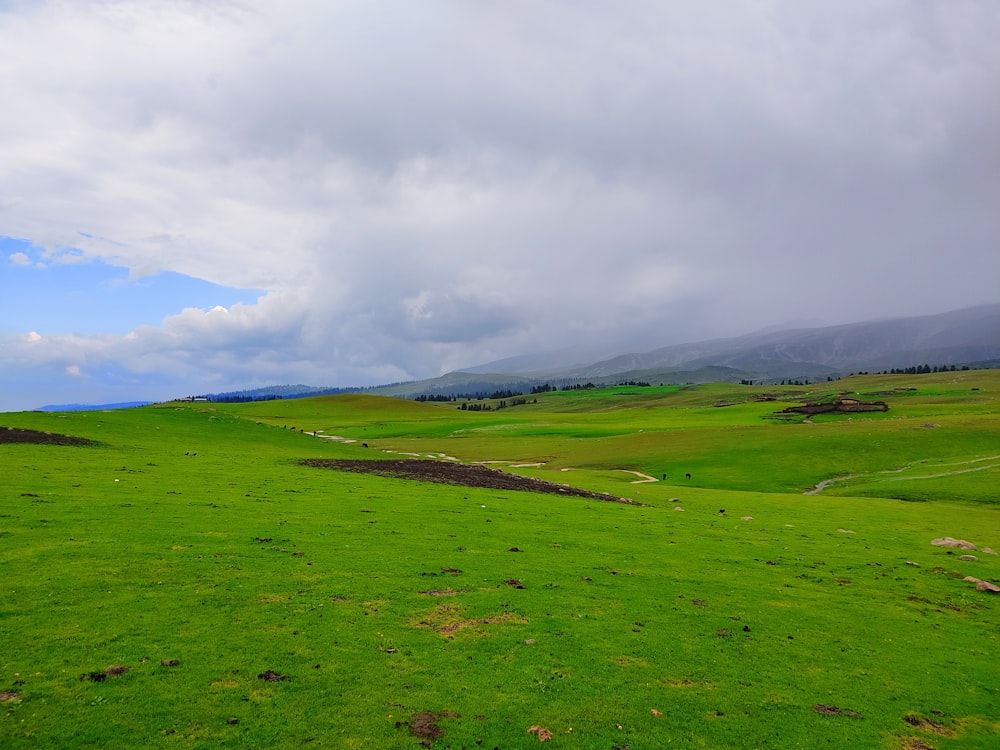 a green field with mountains in the background