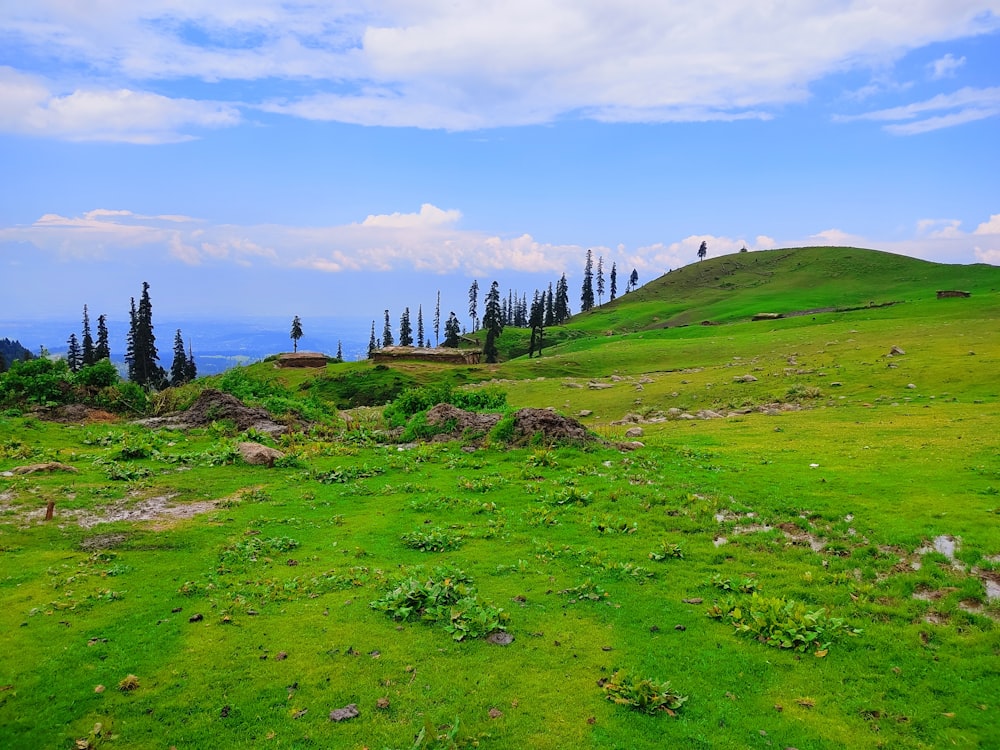 a grassy field with trees on a hill in the background