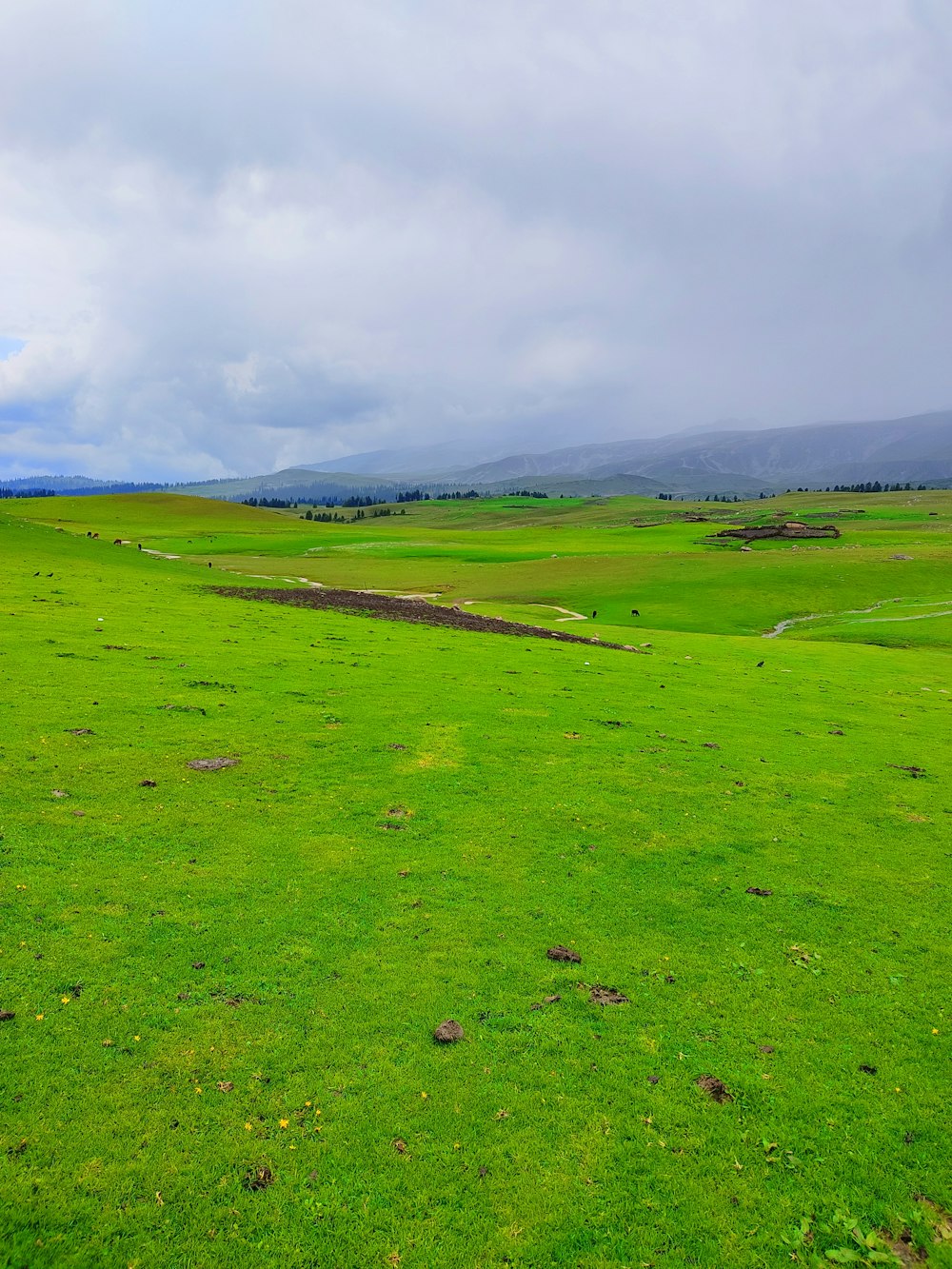 a green field with mountains in the distance