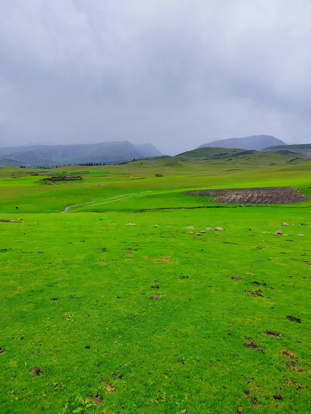 a green field with mountains in the distance