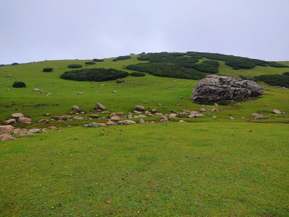 a grassy field with a rock formation in the distance