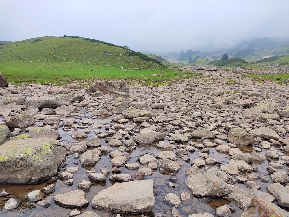 a rocky river bed with rocks and grass in the background