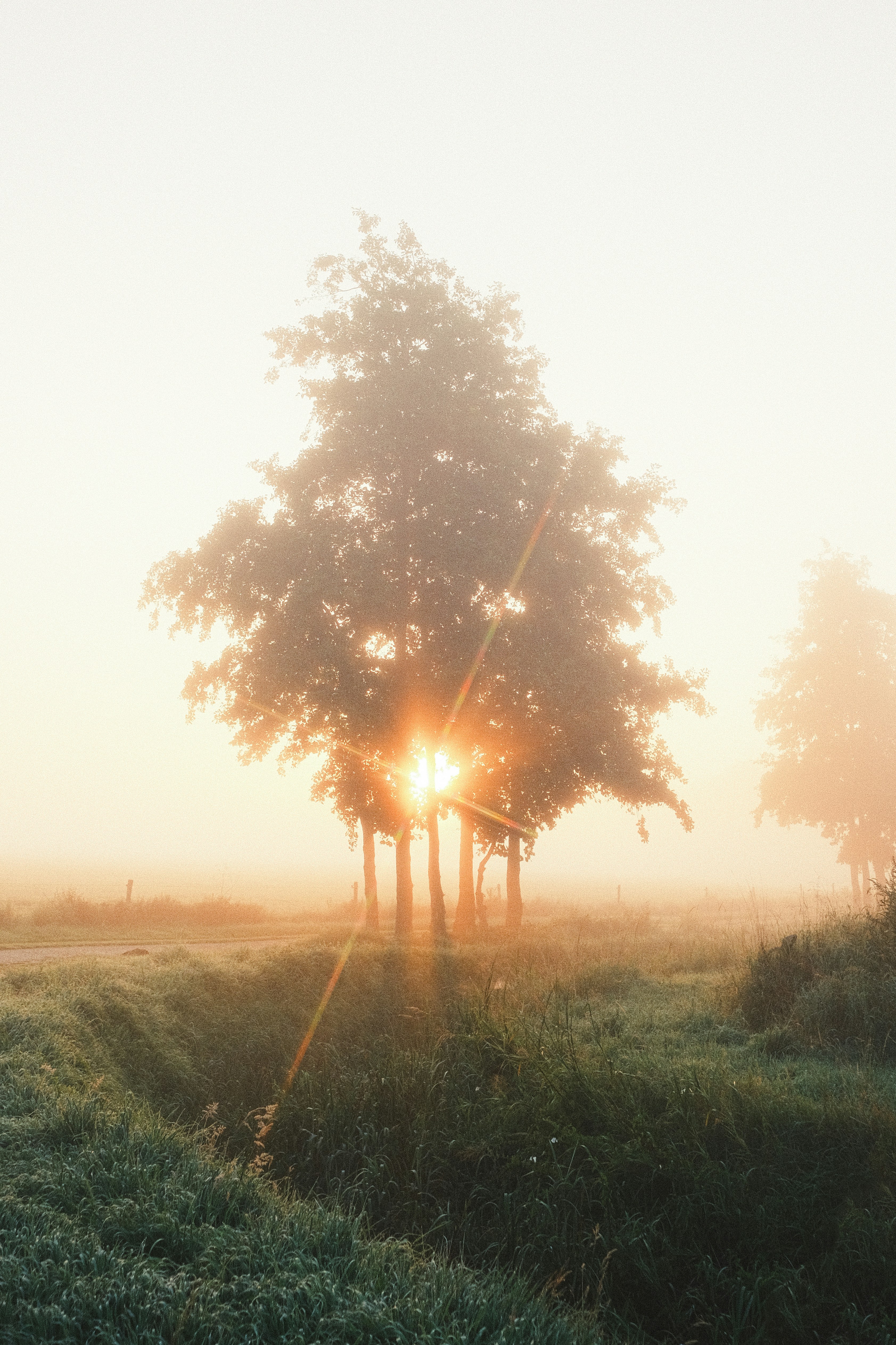 Photo by visualsbying