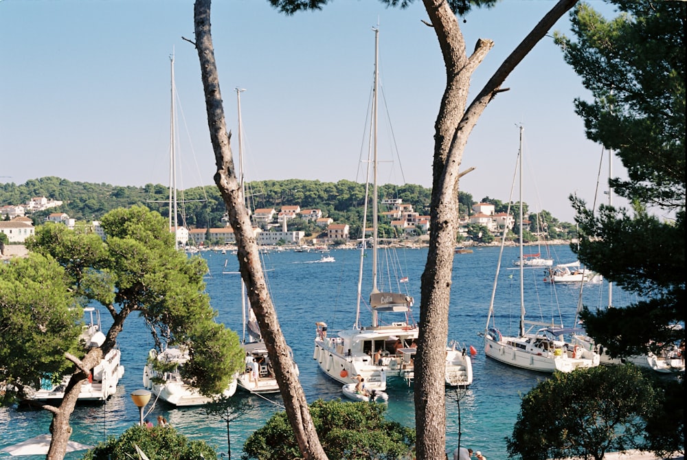 a group of boats floating on top of a body of water