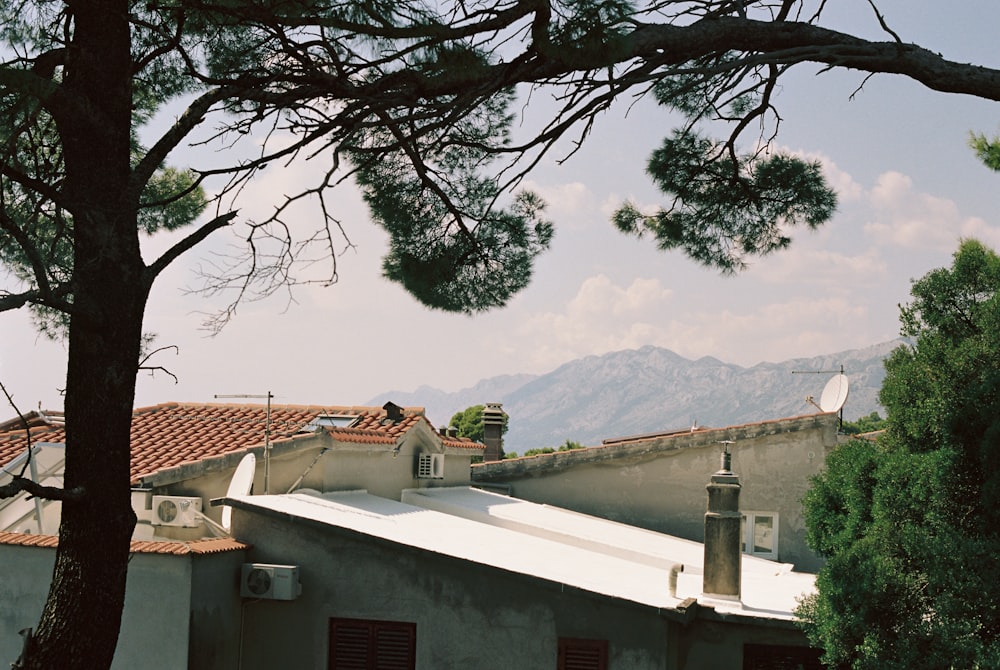 a bird is perched on the roof of a building