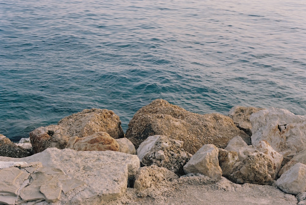 a bunch of rocks that are by the water