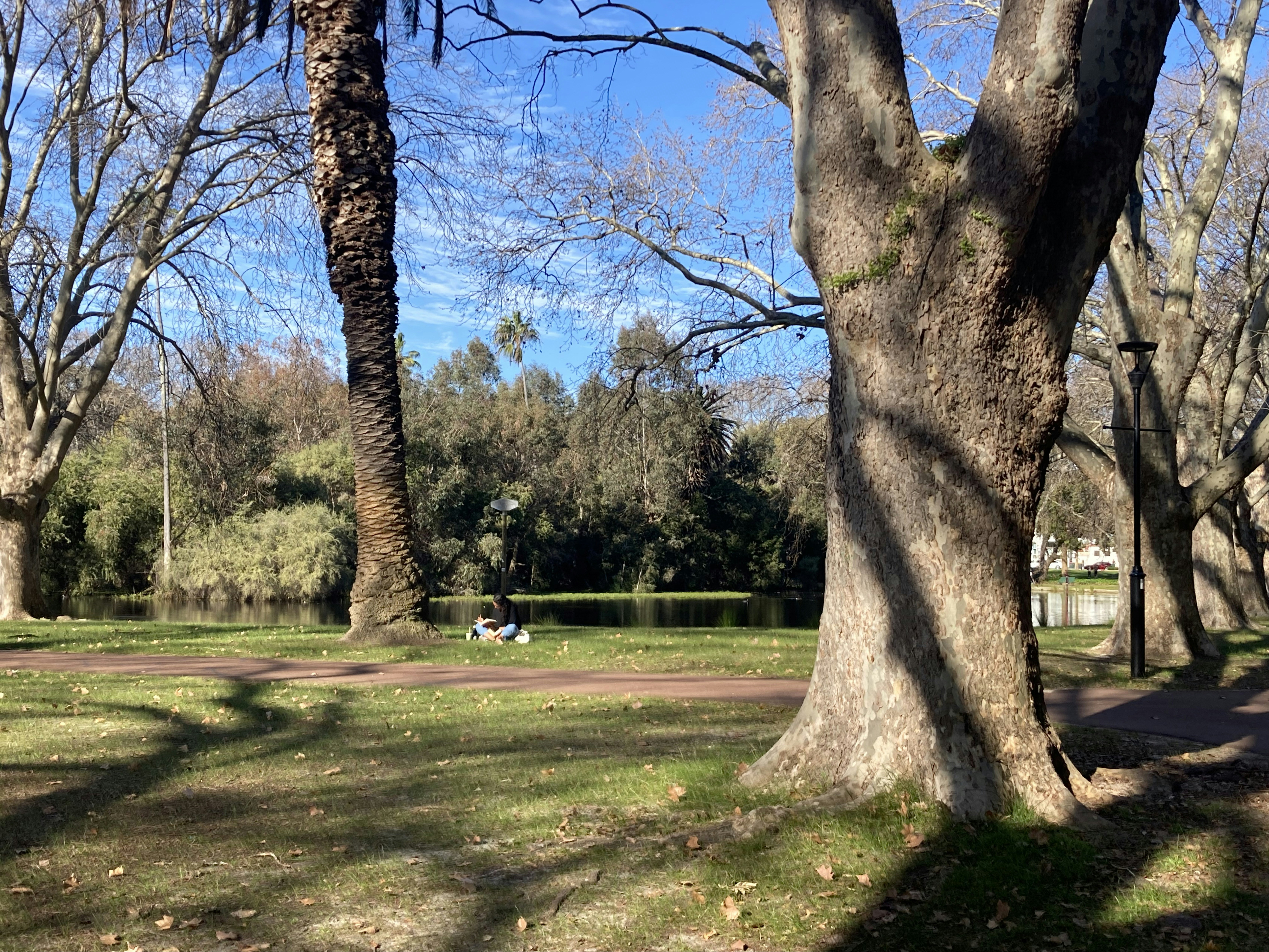 a couple of people sitting on a bench in a park
