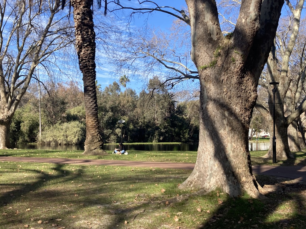 a couple of people sitting on a bench in a park