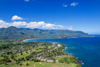 An aerial view of a serene Kona neighborhood nestled between lush greenery and the ocean.