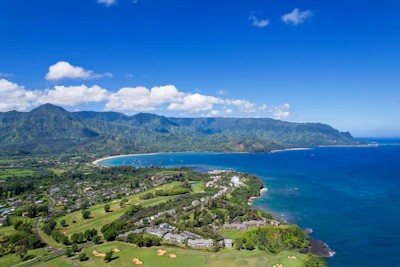 An aerial view of a serene Kona neighborhood nestled between lush greenery and the ocean.