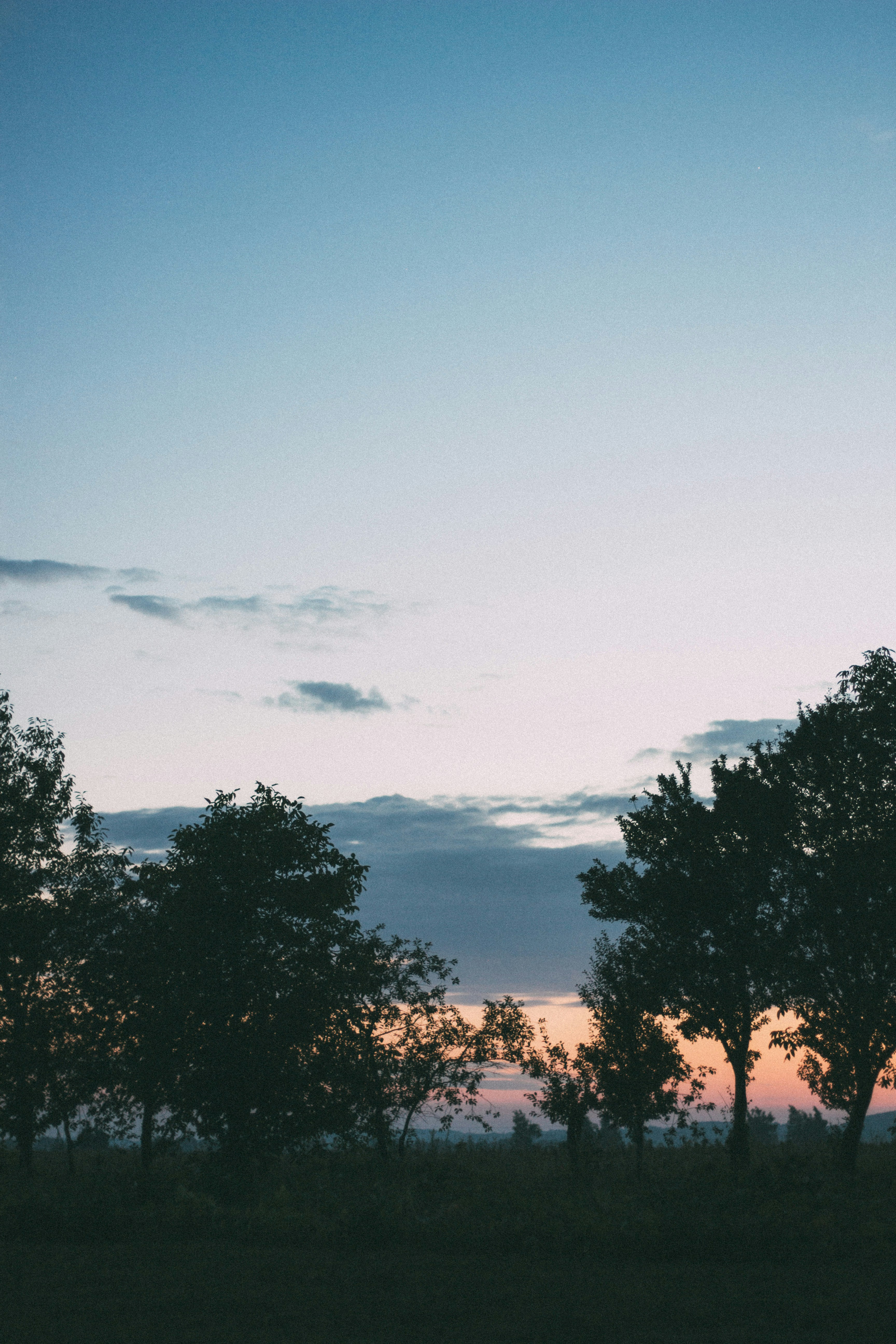 Photo by viktorsmoliak