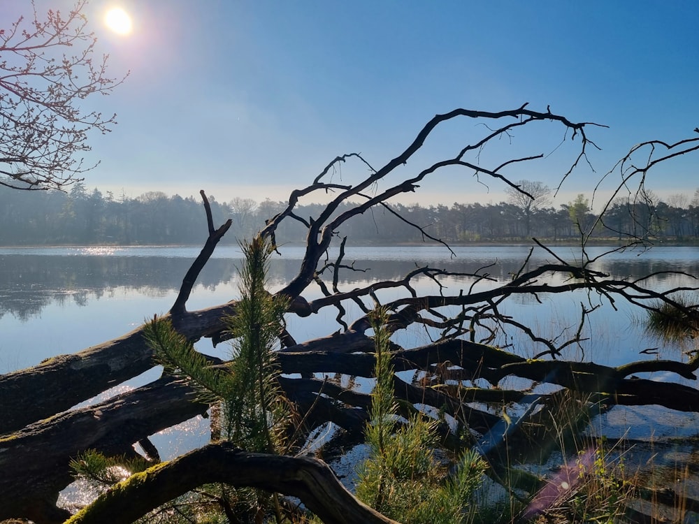 the sun is shining over a body of water