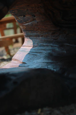 Close-up of a beautifully styled product shot with natural lighting highlighting textures.