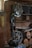 A workshop featuring a band saw machine with a large wheel and a cutting table. The workshop has wooden walls and shelves filled with tools and materials. There are circular wooden logs on the floor and various items scattered on the shelves in the background.