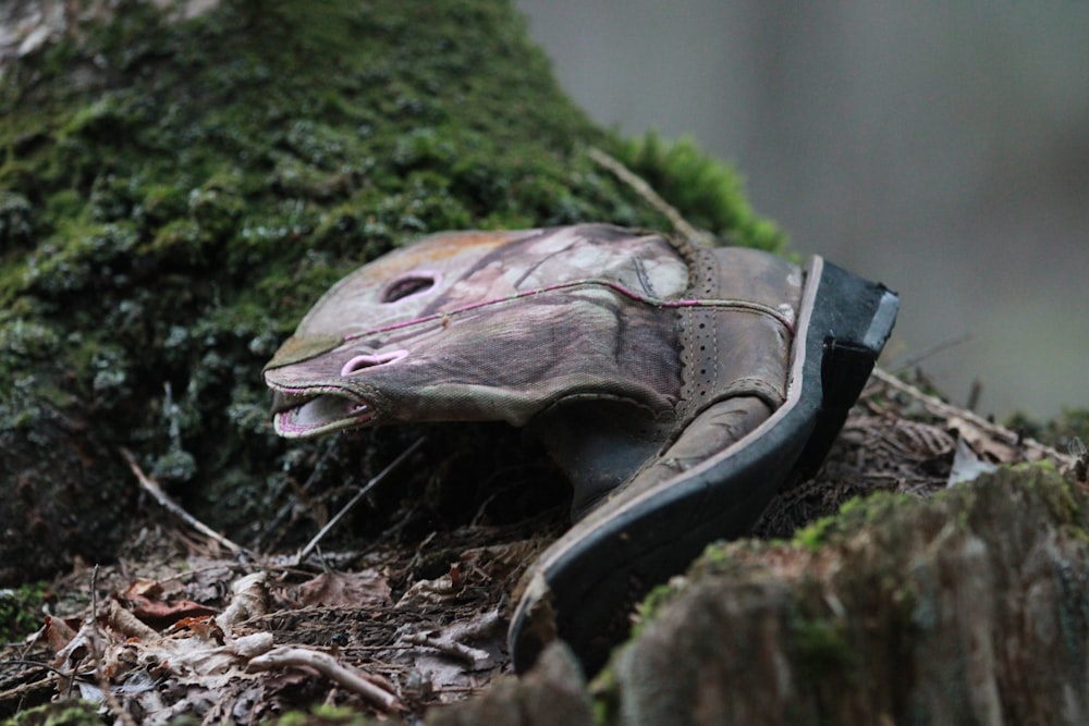 a close up of a shoe on the ground near a tree