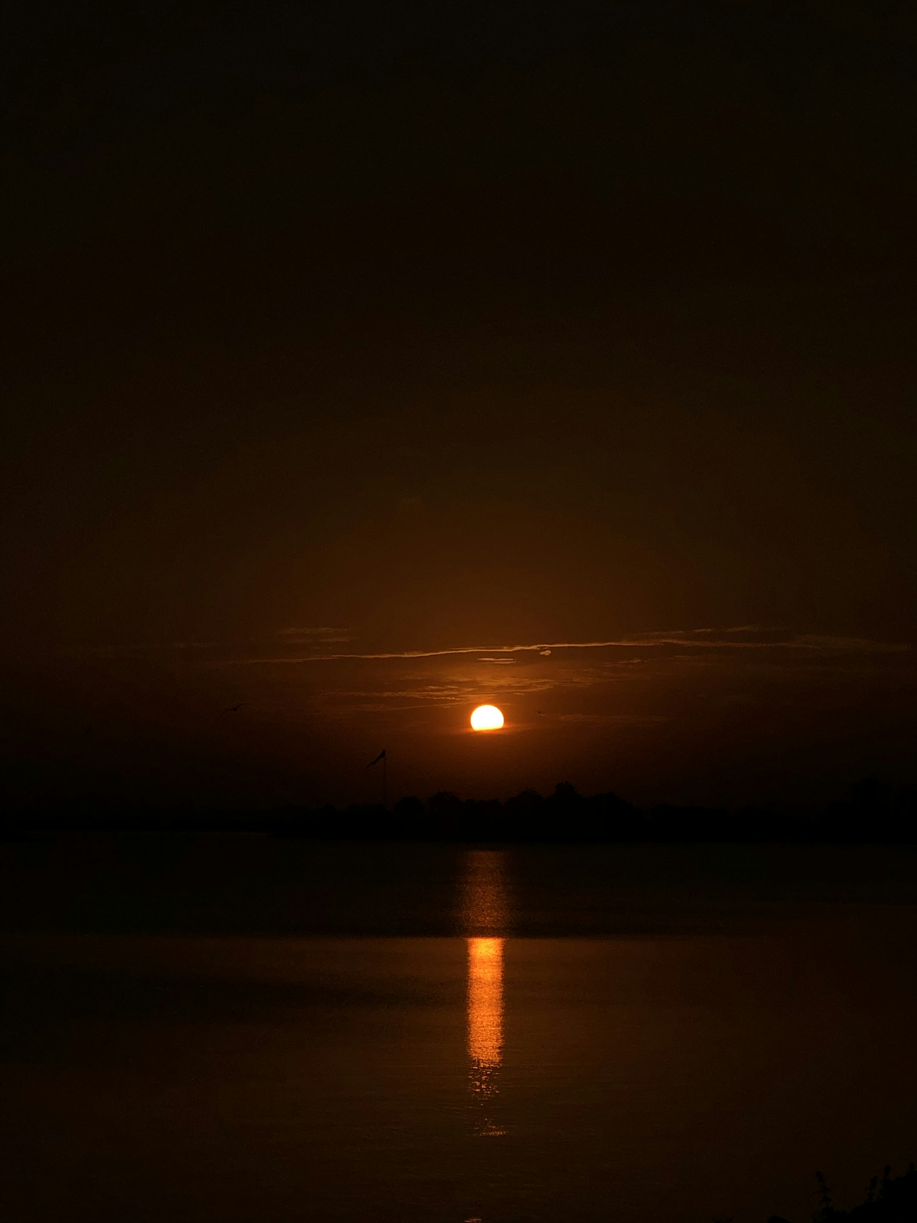 Photo by rk7