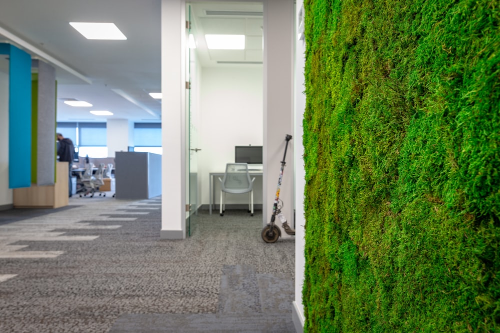 a green wall in an office with a mower