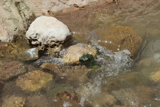 Crystal-clear water flowing gently over smooth stones.