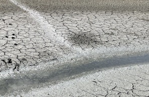 Dry, cracked earth is traversed by a narrow wet line, possibly indicating recent moisture or a thin stream. The surface shows a network of cracks, suggesting extreme dryness.