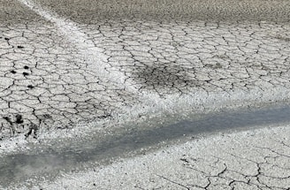 Dry, cracked earth is traversed by a narrow wet line, possibly indicating recent moisture or a thin stream. The surface shows a network of cracks, suggesting extreme dryness.