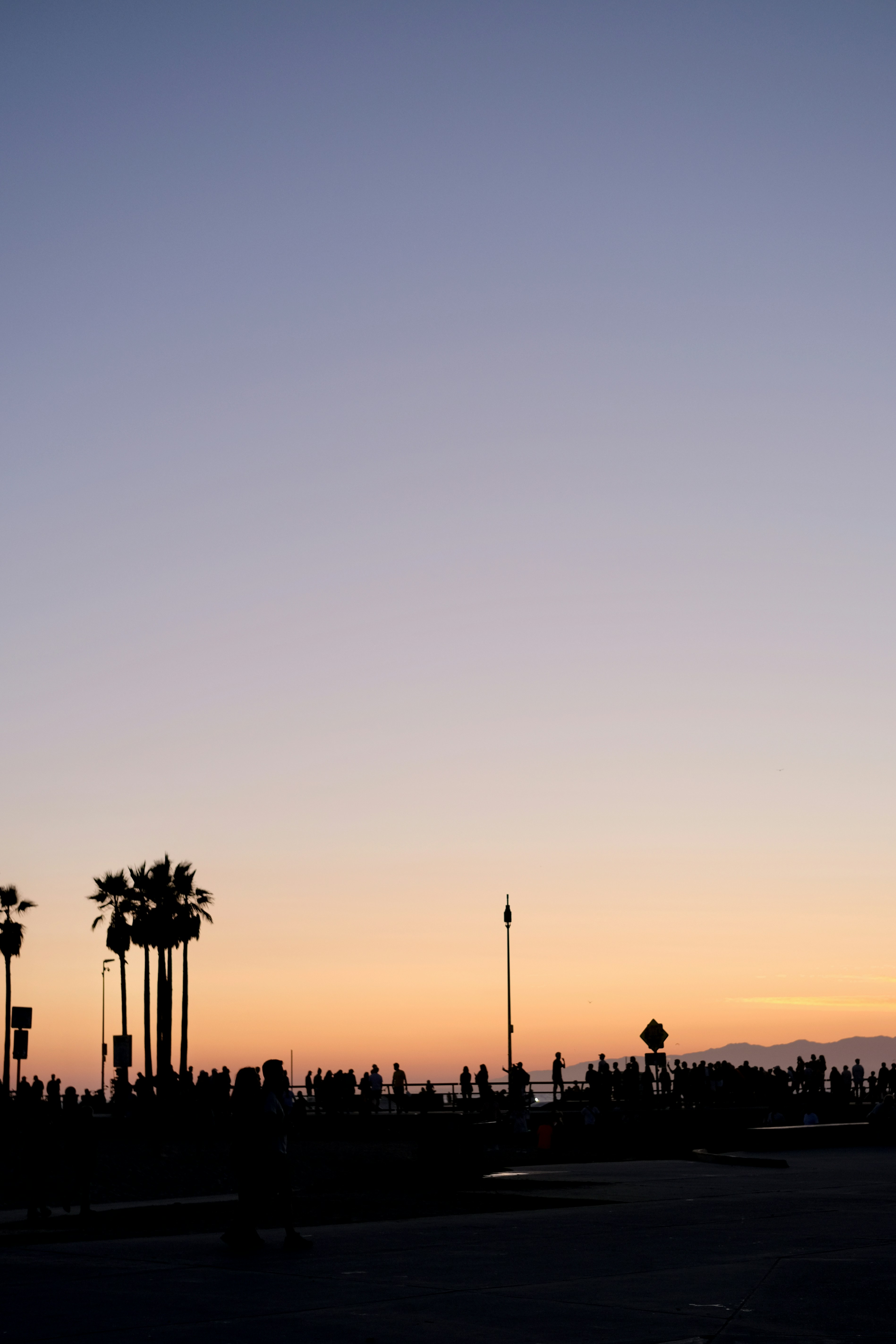 a group of people walking down a street next to palm trees