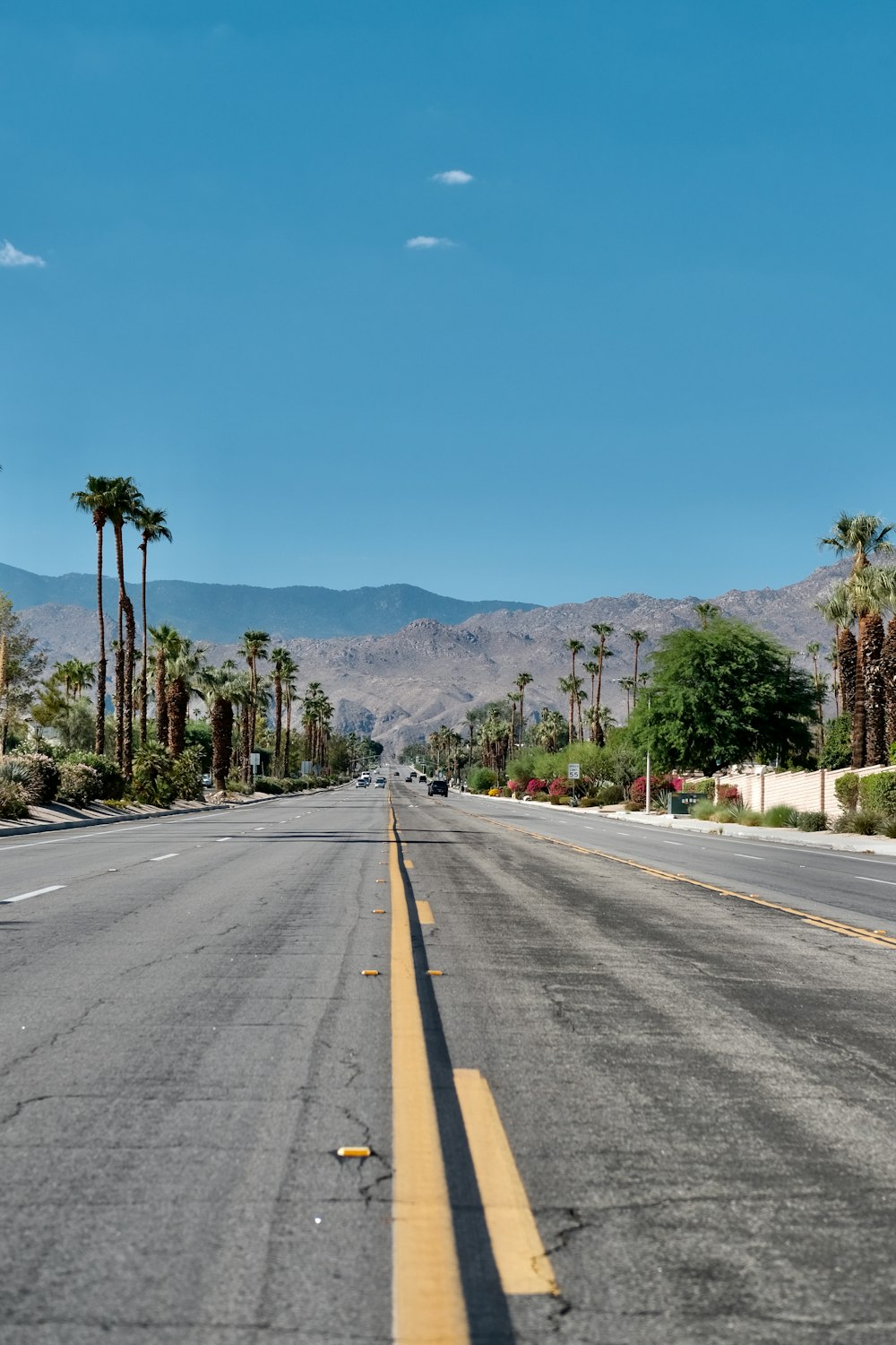 an empty street with palm trees and mountains in the background