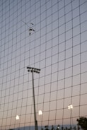 A netting is in the foreground with a delicate branch with dried leaves caught in it. In the background, there are several tall light poles with illuminated lights. The sky is transitioning from dusk to night, with a gradient of soft pastel colors.
