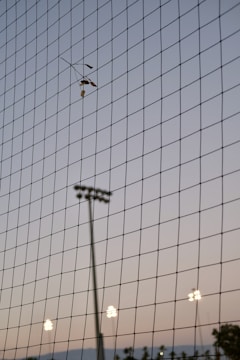 A netting is in the foreground with a delicate branch with dried leaves caught in it. In the background, there are several tall light poles with illuminated lights. The sky is transitioning from dusk to night, with a gradient of soft pastel colors.