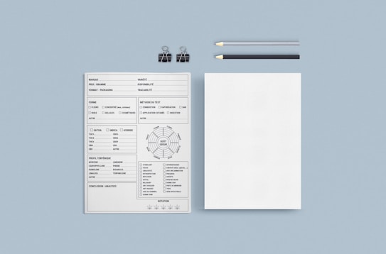 A minimalist layout consisting of a detailed form with multiple sections and options. The form includes checkboxes and text fields on the left. Beside it, there
