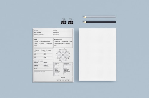 A minimalist layout consisting of a detailed form with multiple sections and options. The form includes checkboxes and text fields on the left. Beside it, there's a blank sheet of paper. Two pencils, one black and one gray, along with two black binder clips, are placed above the papers on a light blue background.