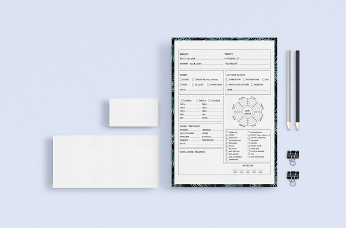 On a light blue background, a stationery set includes a sheet of paper with a form or checklist surrounded by a border with a leaf pattern, two pencils (one black and one light grey) with erasers, two black binder clips, and two blank white cards of different sizes.