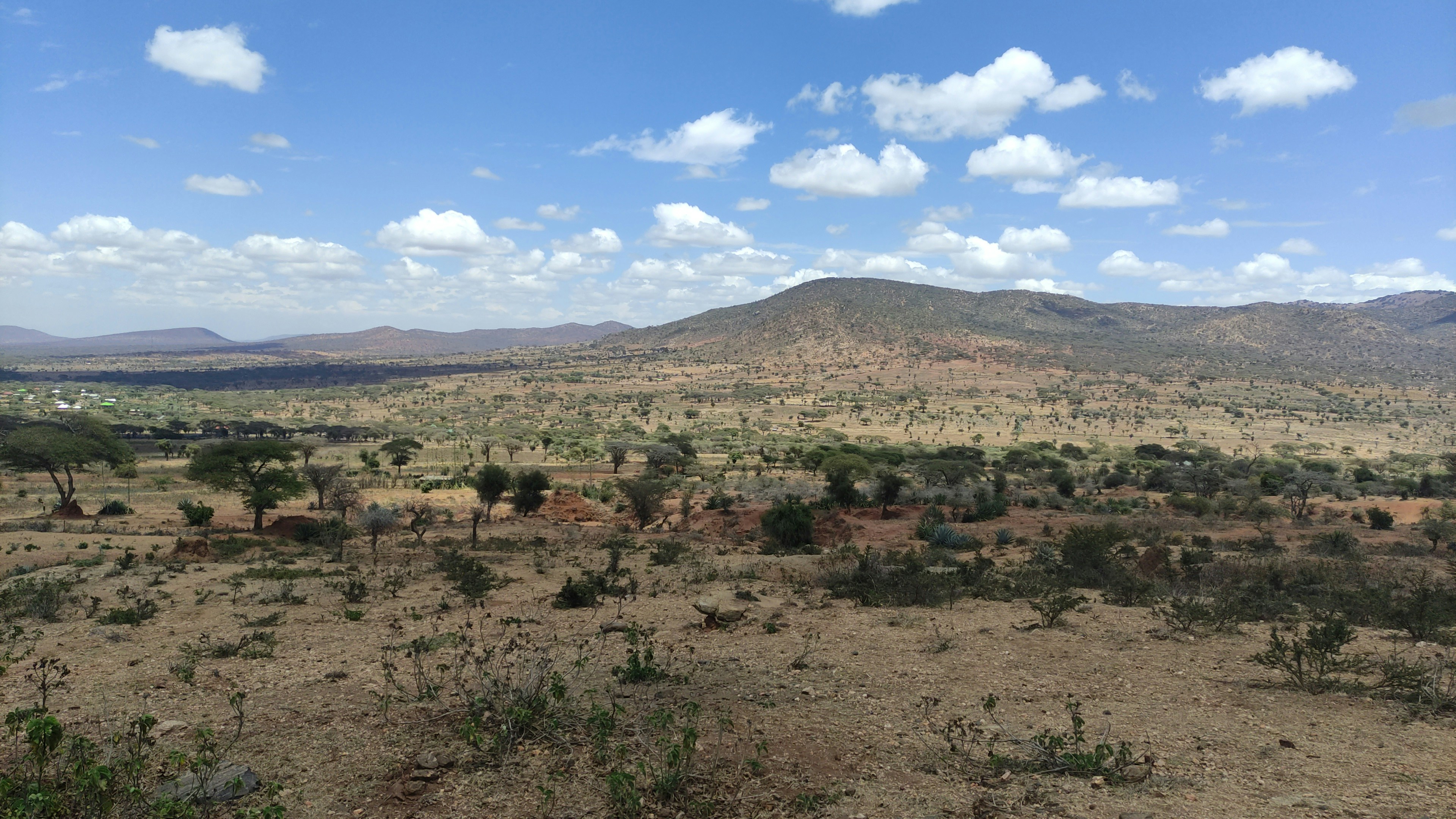 Kendwa – Weather & Seasonal Patterns