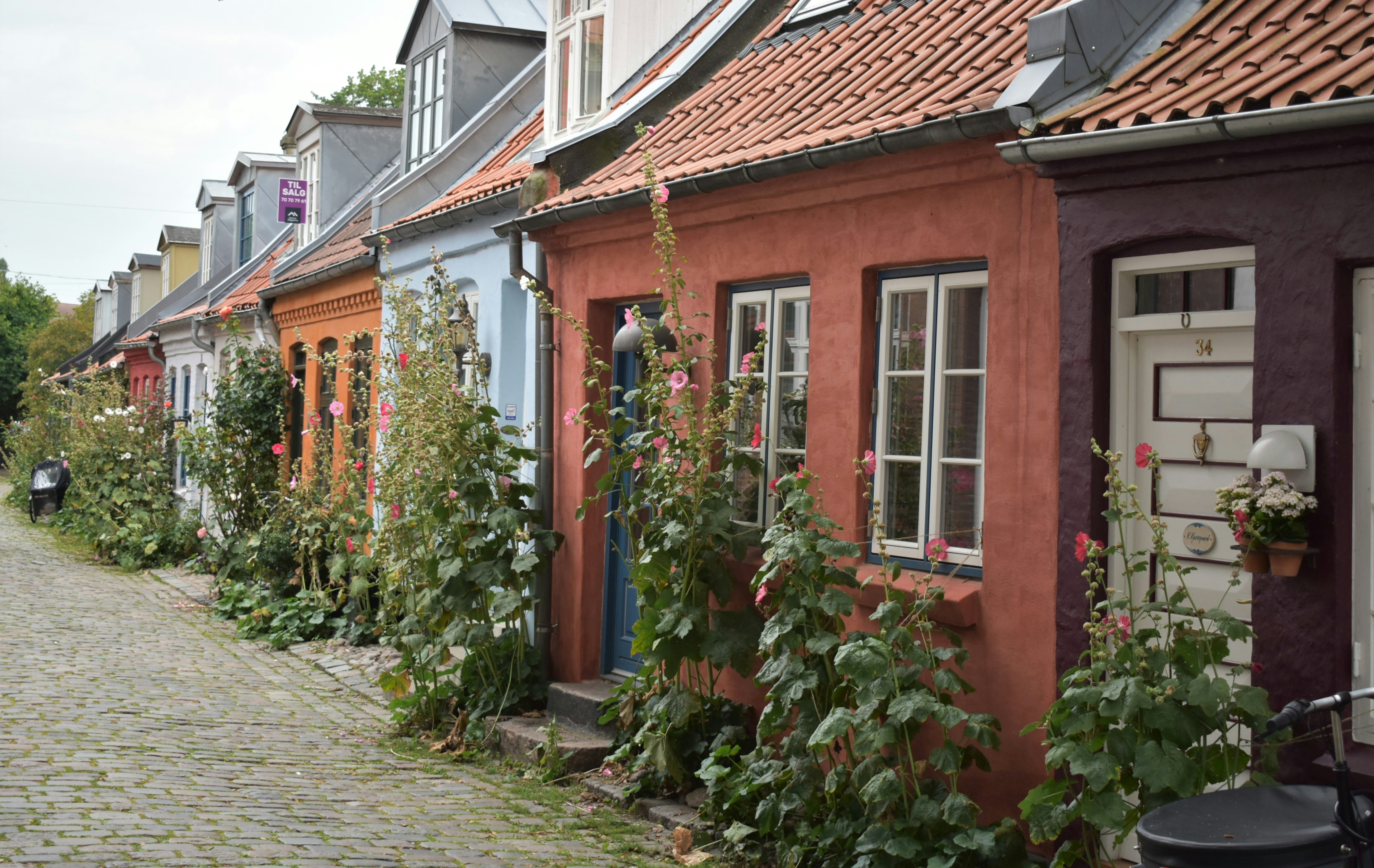 Photo by oxganggreen