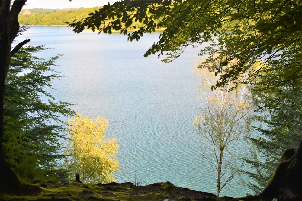 Blick auf einen See durch einige Bäume