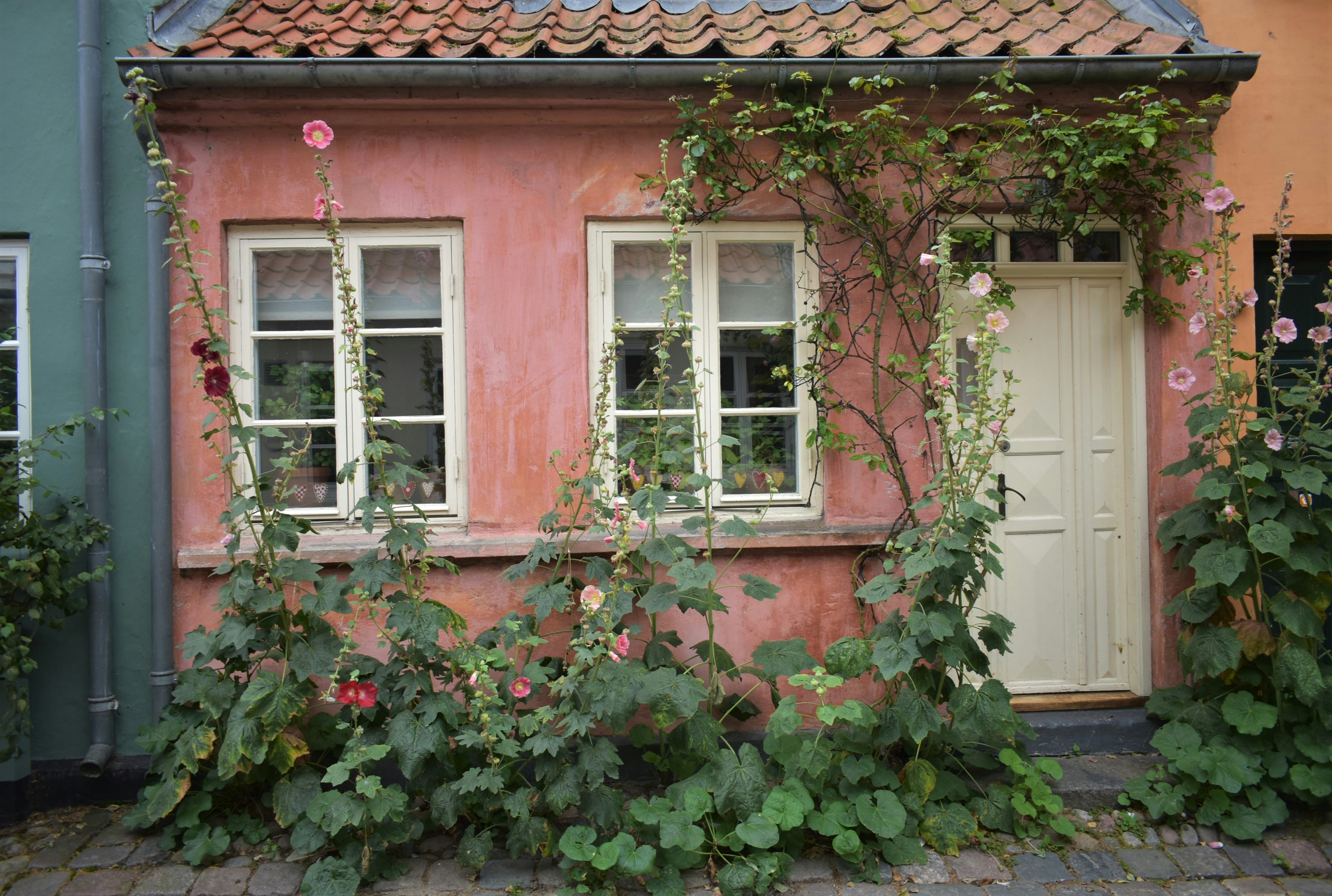 Photo by oxganggreen