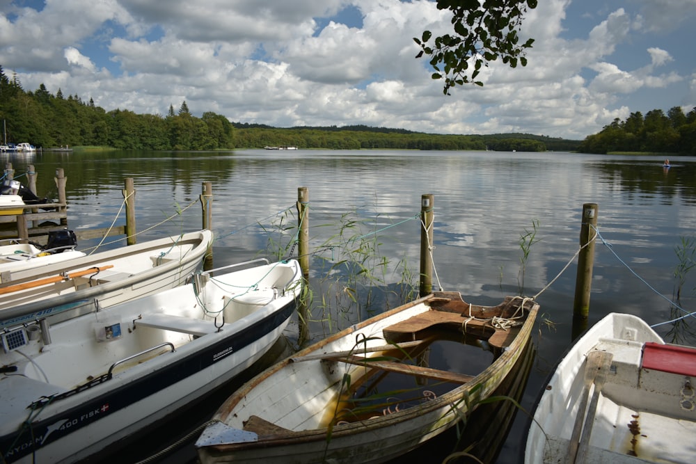 a group of boats sitting next to each other on a lake
