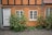 A charming, rustic house with an orange stucco exterior and black timber framing. The building features two small windows with white frames and a white door, along with climbing plants growing up the walls and onto the cobblestone path in front.