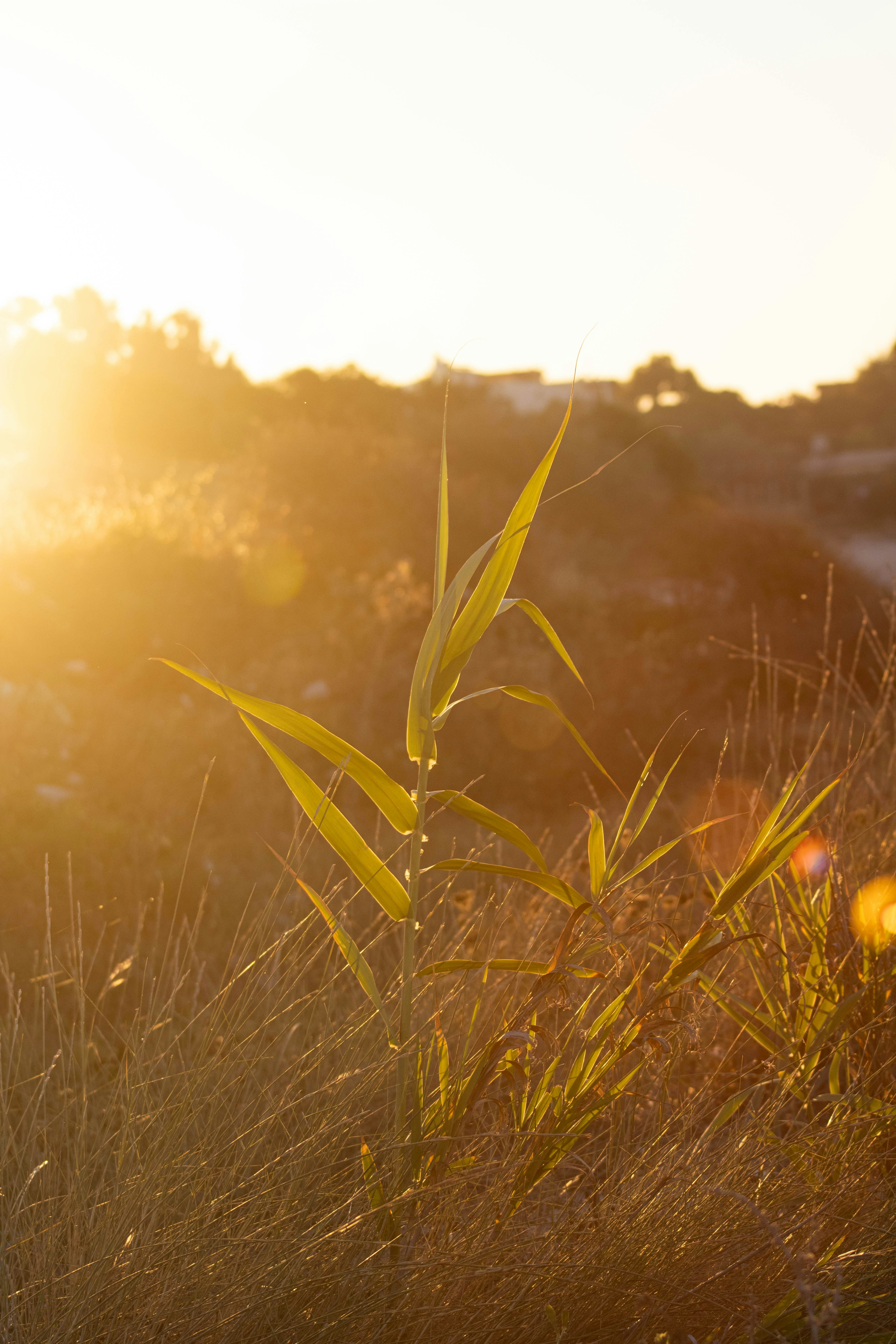 Photo by cippicippiphoto