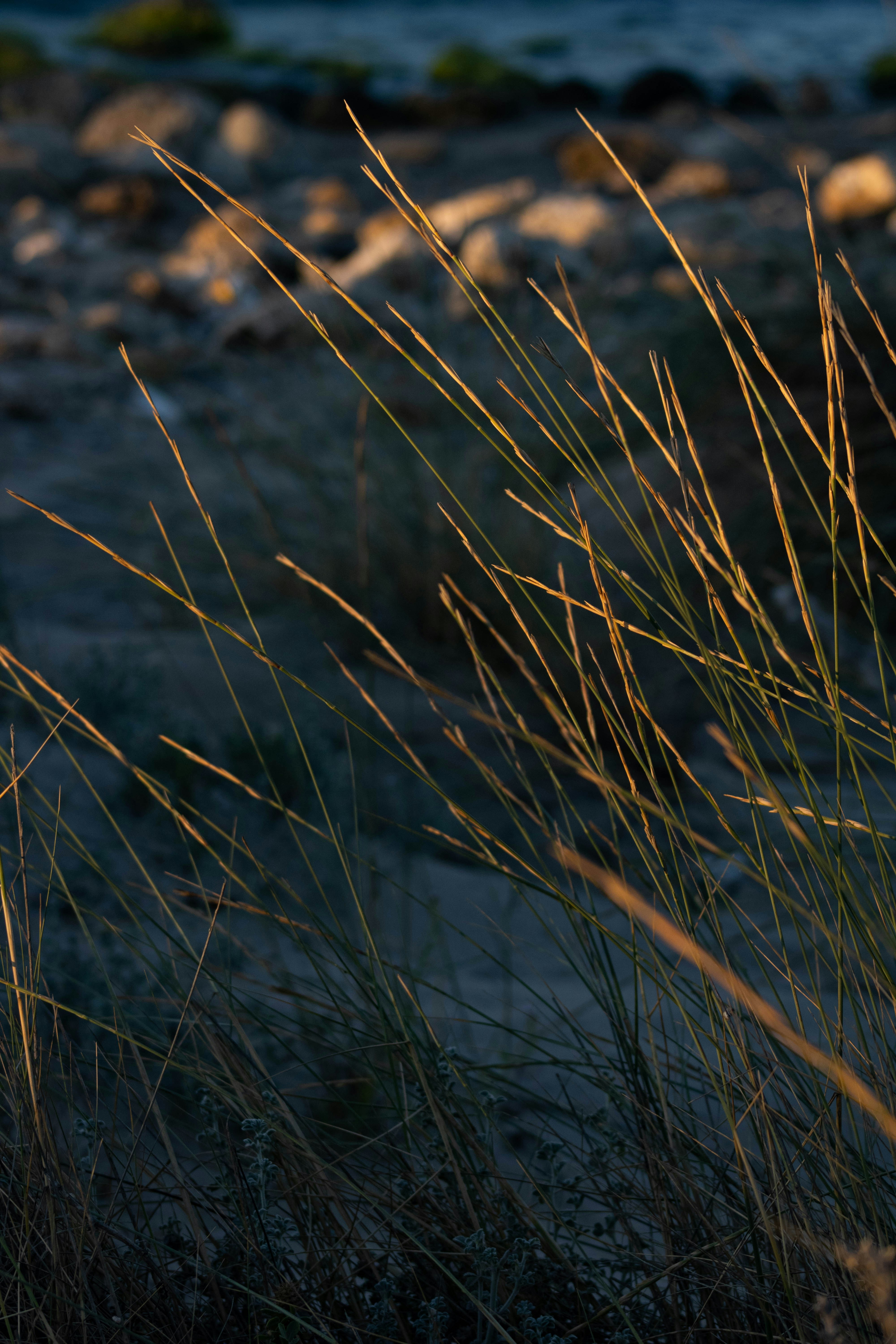 Photo by cippicippiphoto