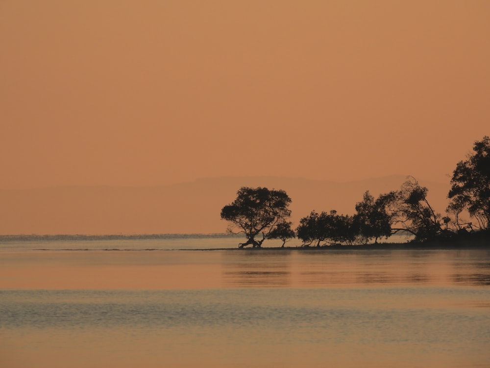 a body of water with trees in the distance