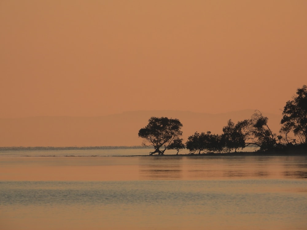 uno specchio d'acqua con alberi in lontananza