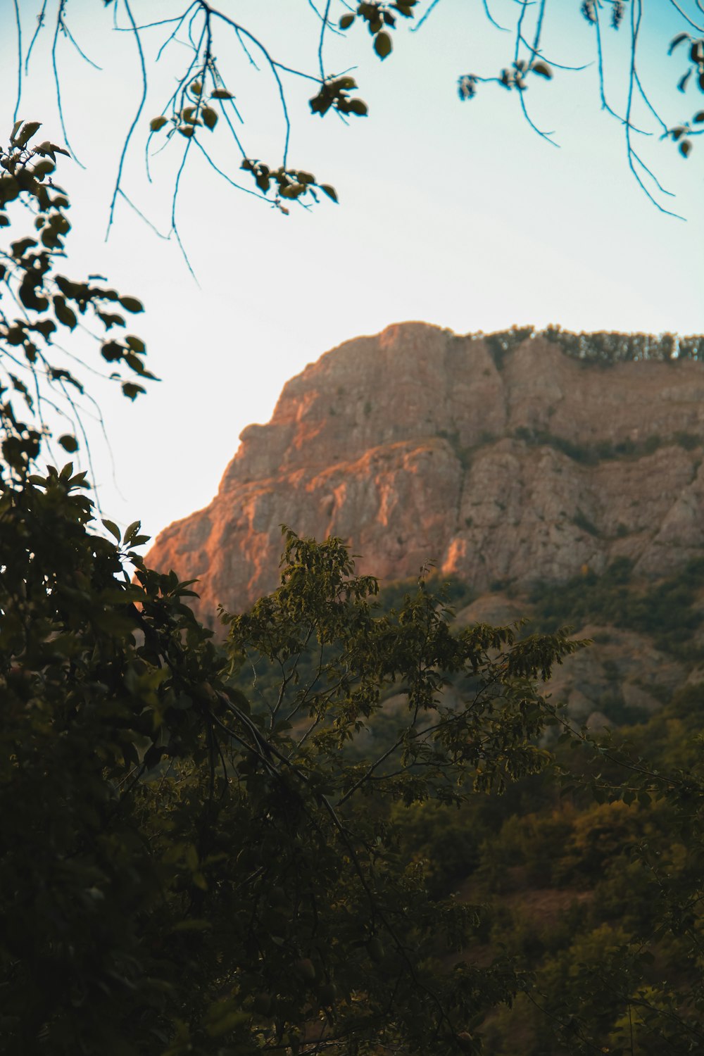 a view of a mountain with trees in the foreground