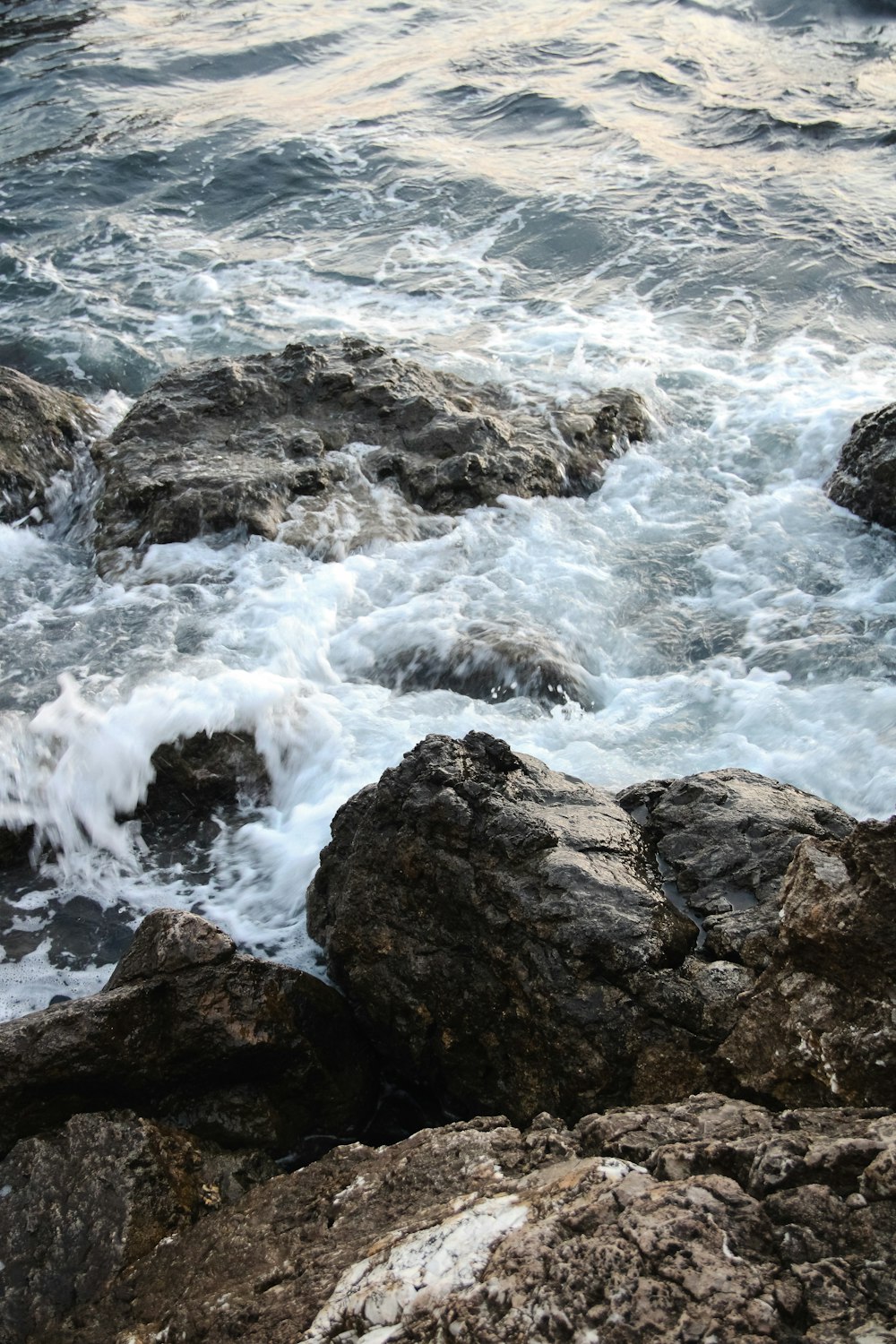 a bird is sitting on some rocks by the water