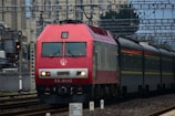 A red locomotive with the number SS9-0142 is pulling a train along a railway track. The background includes urban buildings and overhead electrical wires for the railway. A signal light is visible on the left side of the image, showing a red light.