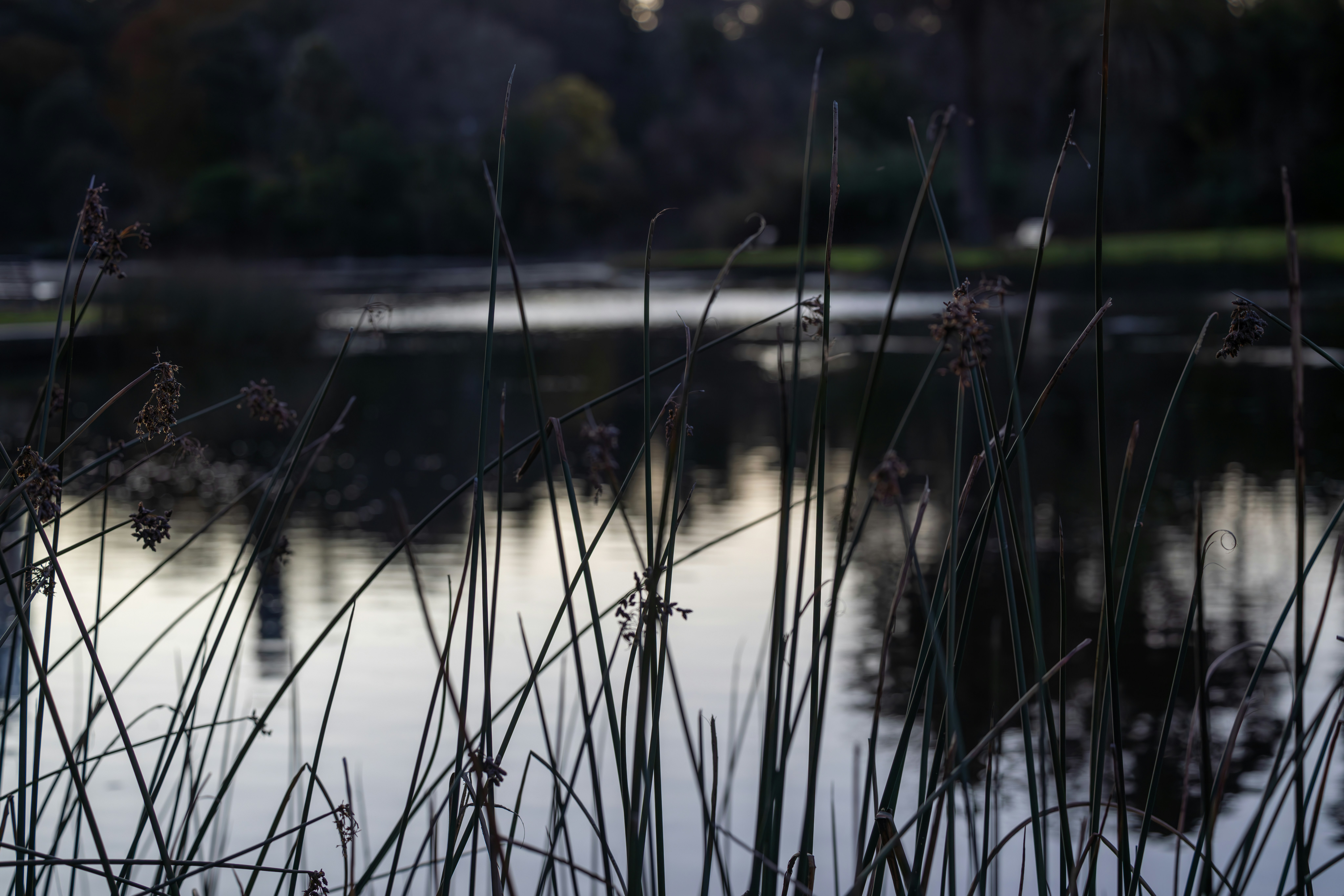 Photo by stephenmabbs