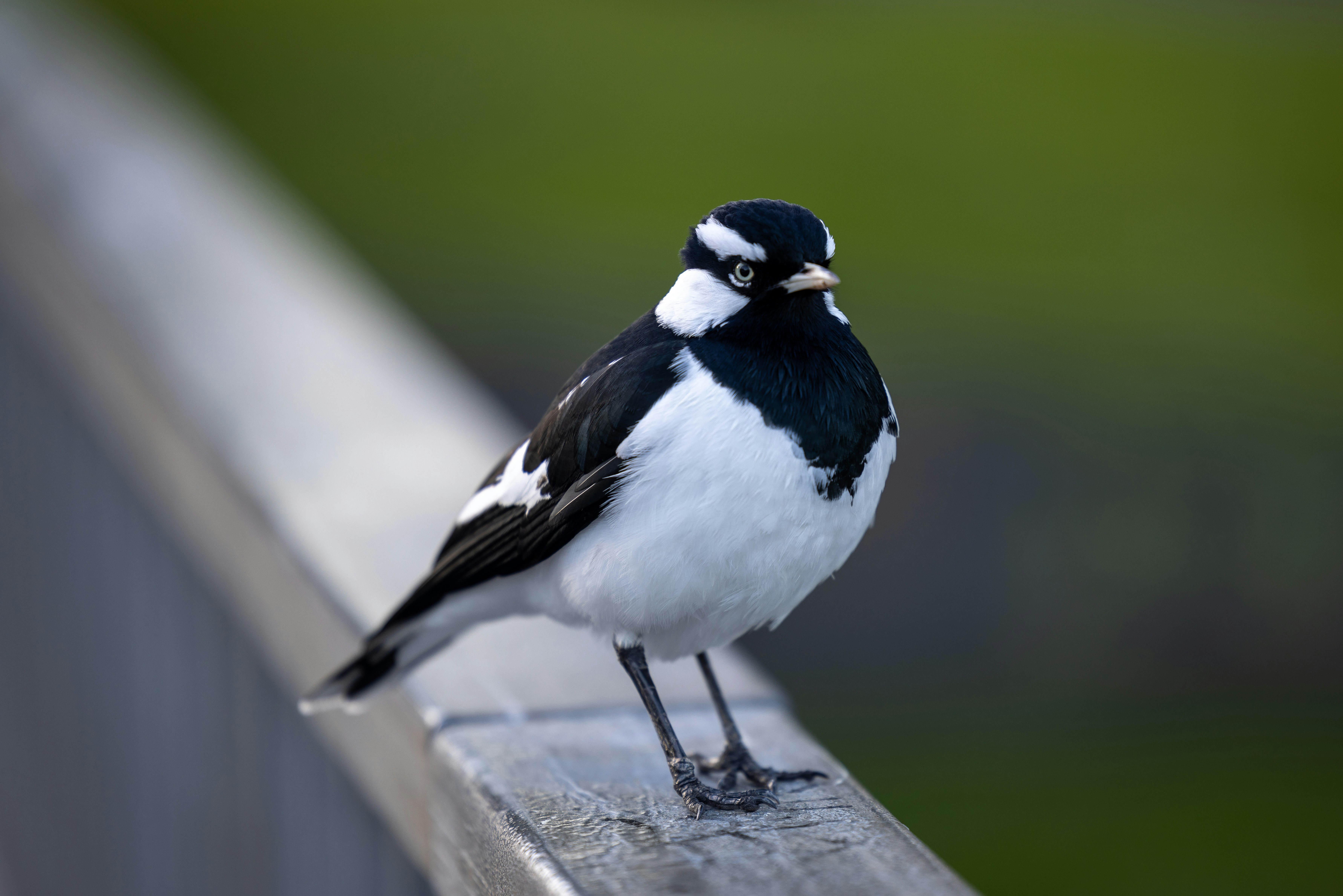 Photo by stephenmabbs