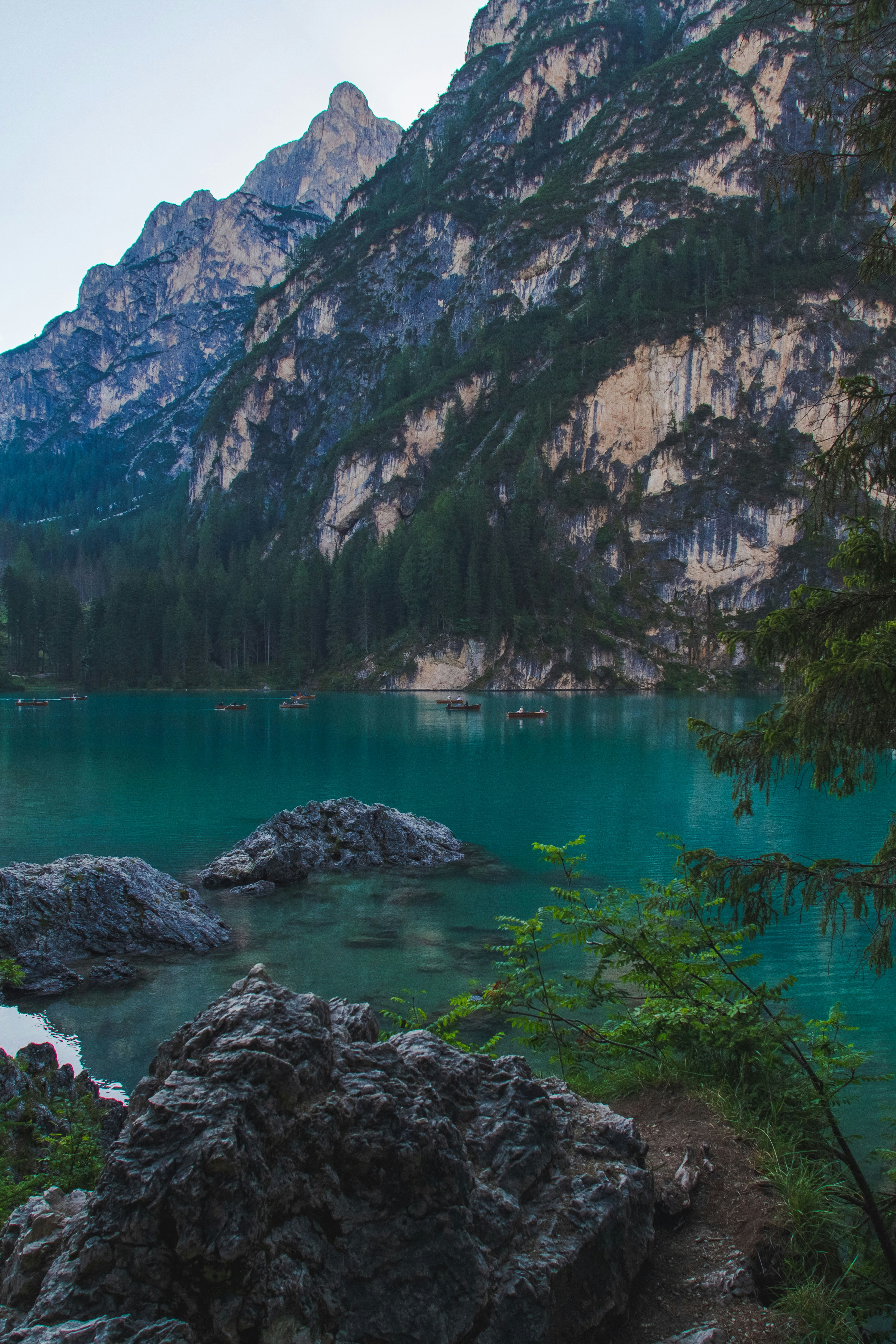 Photo by mattia_poli_04