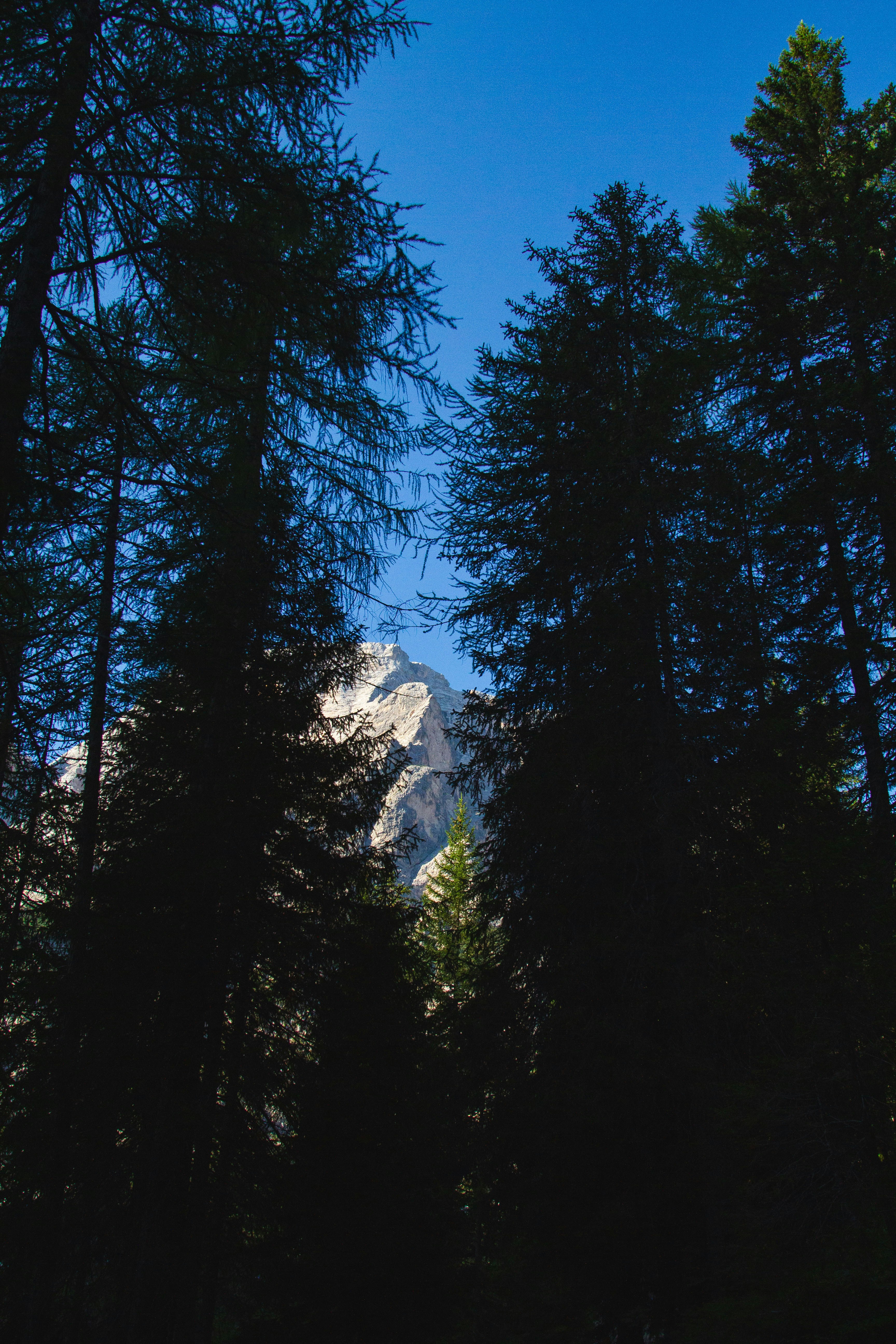 Photo by mattia_poli_04